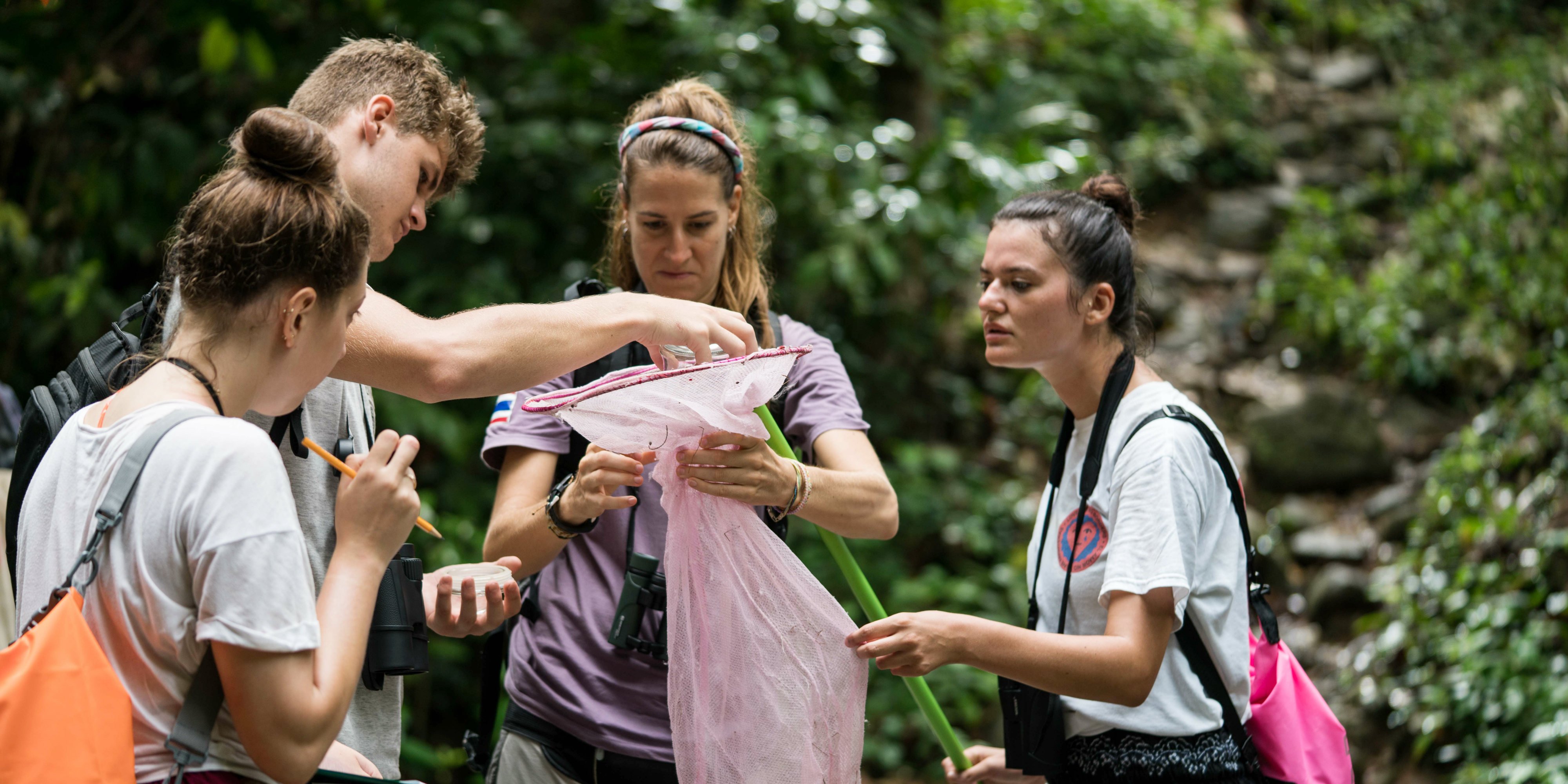 Participants collect data on butterflies in Thailand. The training that takes place on a GVI project is greatly enhanced when approached with a growth mindset.