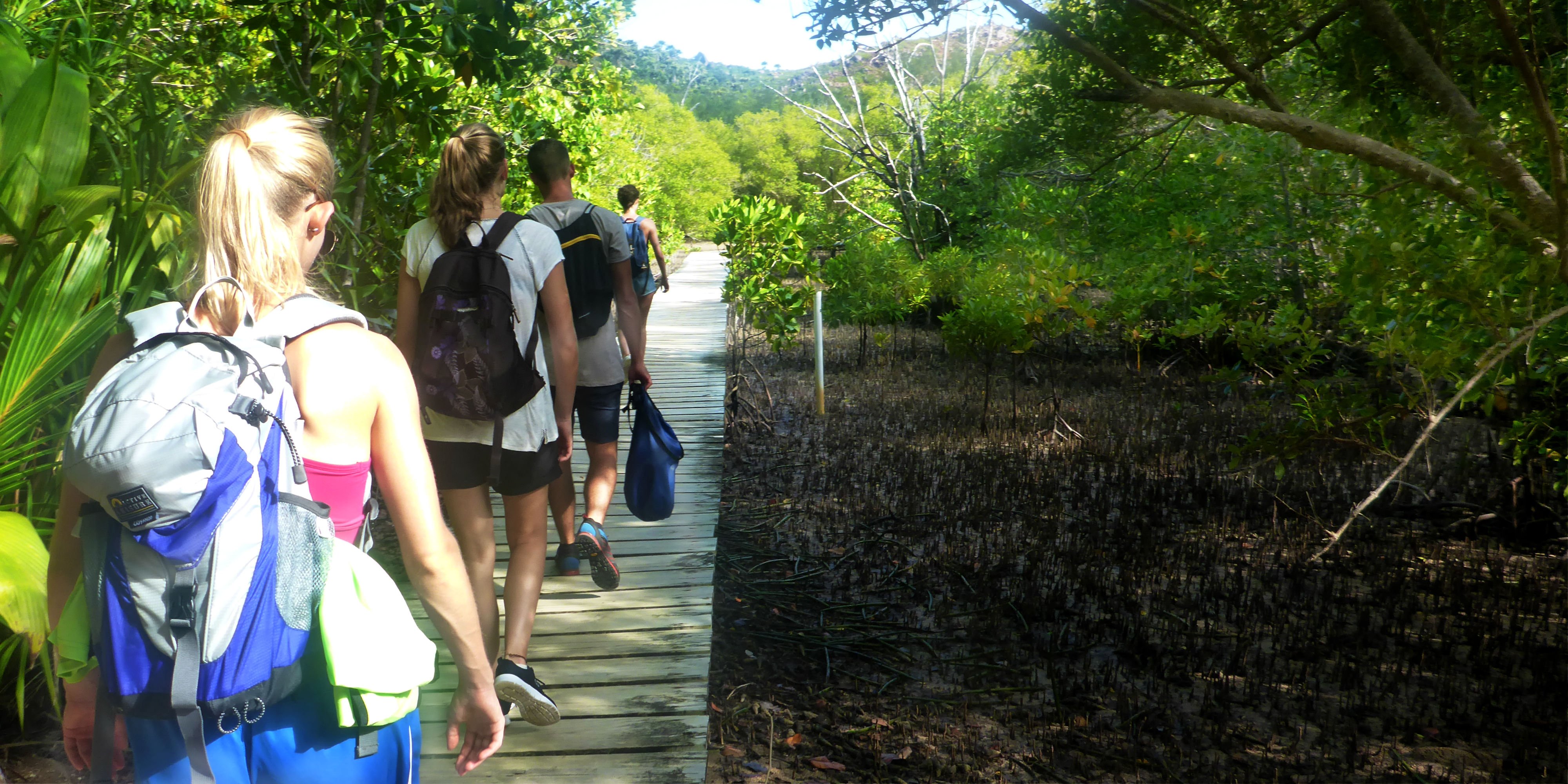 GVI participants walk past mangrove forests on Curieuse Island.