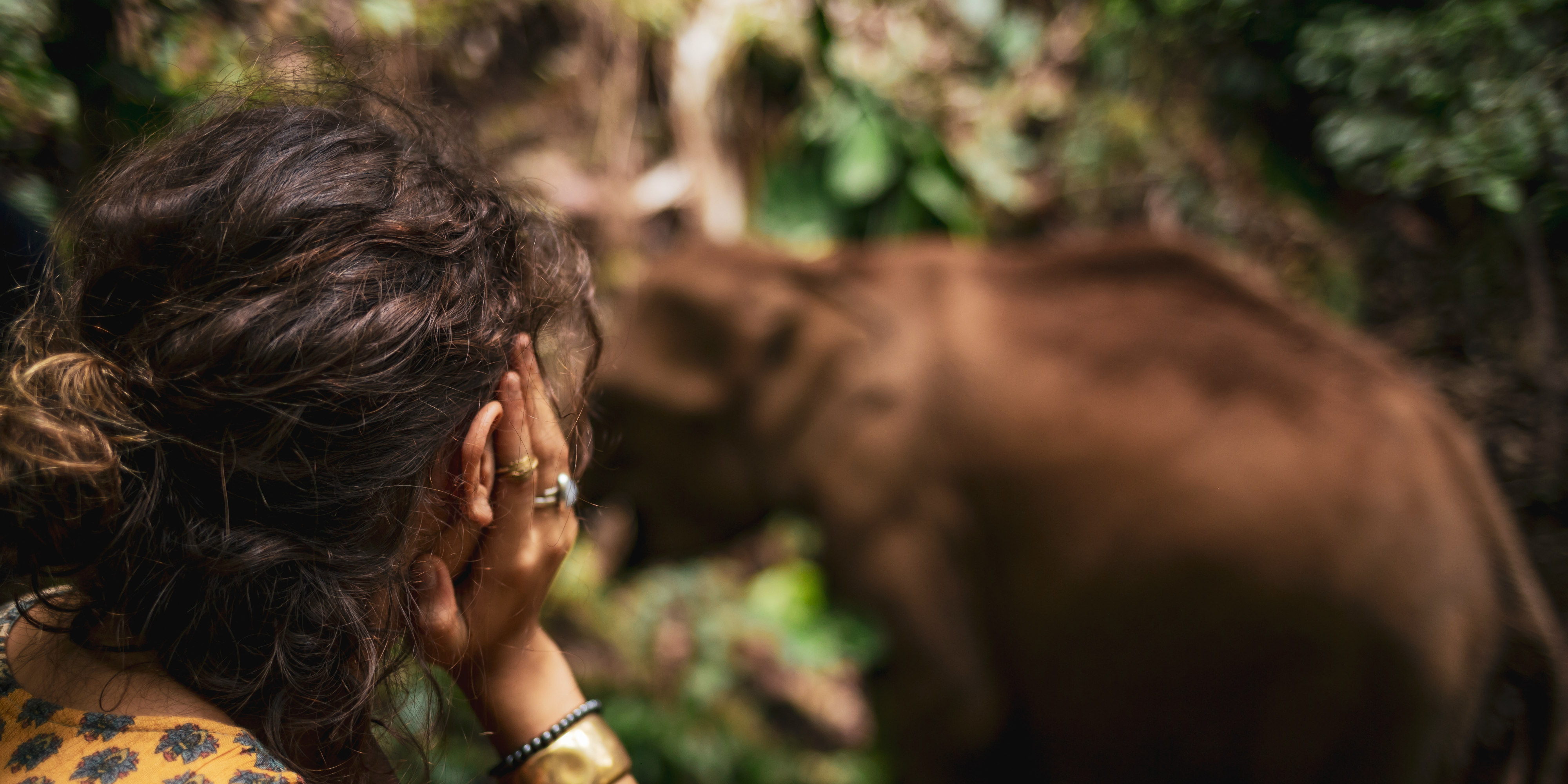 A GVI participant observes an elephant in the forest. The forests of Chiang Mai are the best place to visit elephants in Thailand.