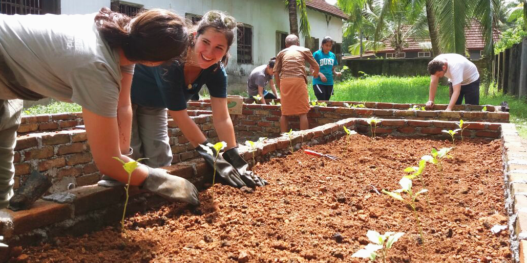 GVI participants maintain plants in a local community garden, as part of under 18 volunteer opportunities abroad.