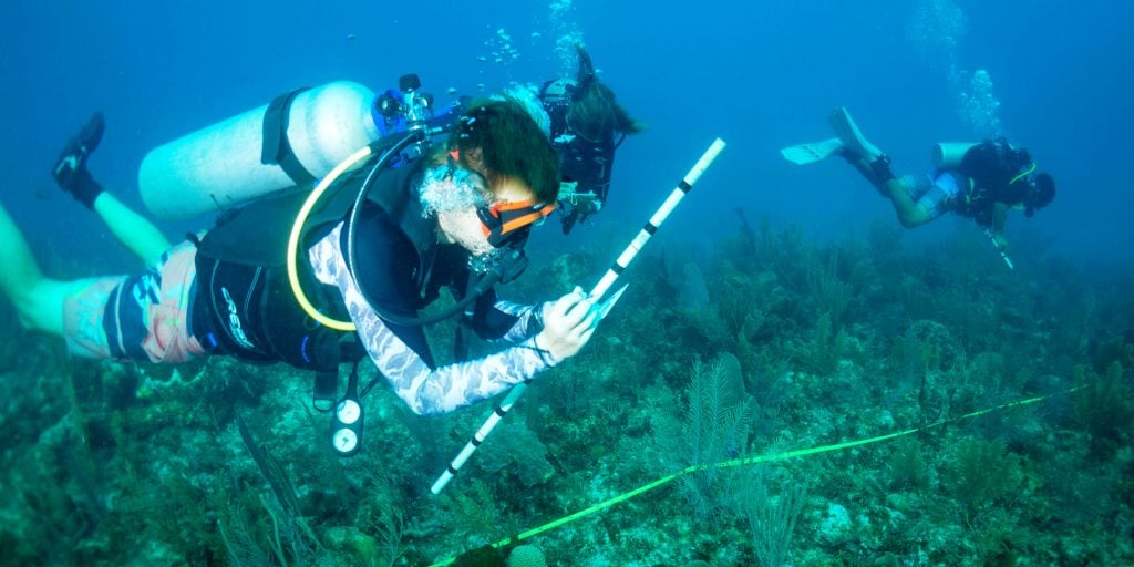 GVI participants monitor coral reefs while taking part in gap year travel.
