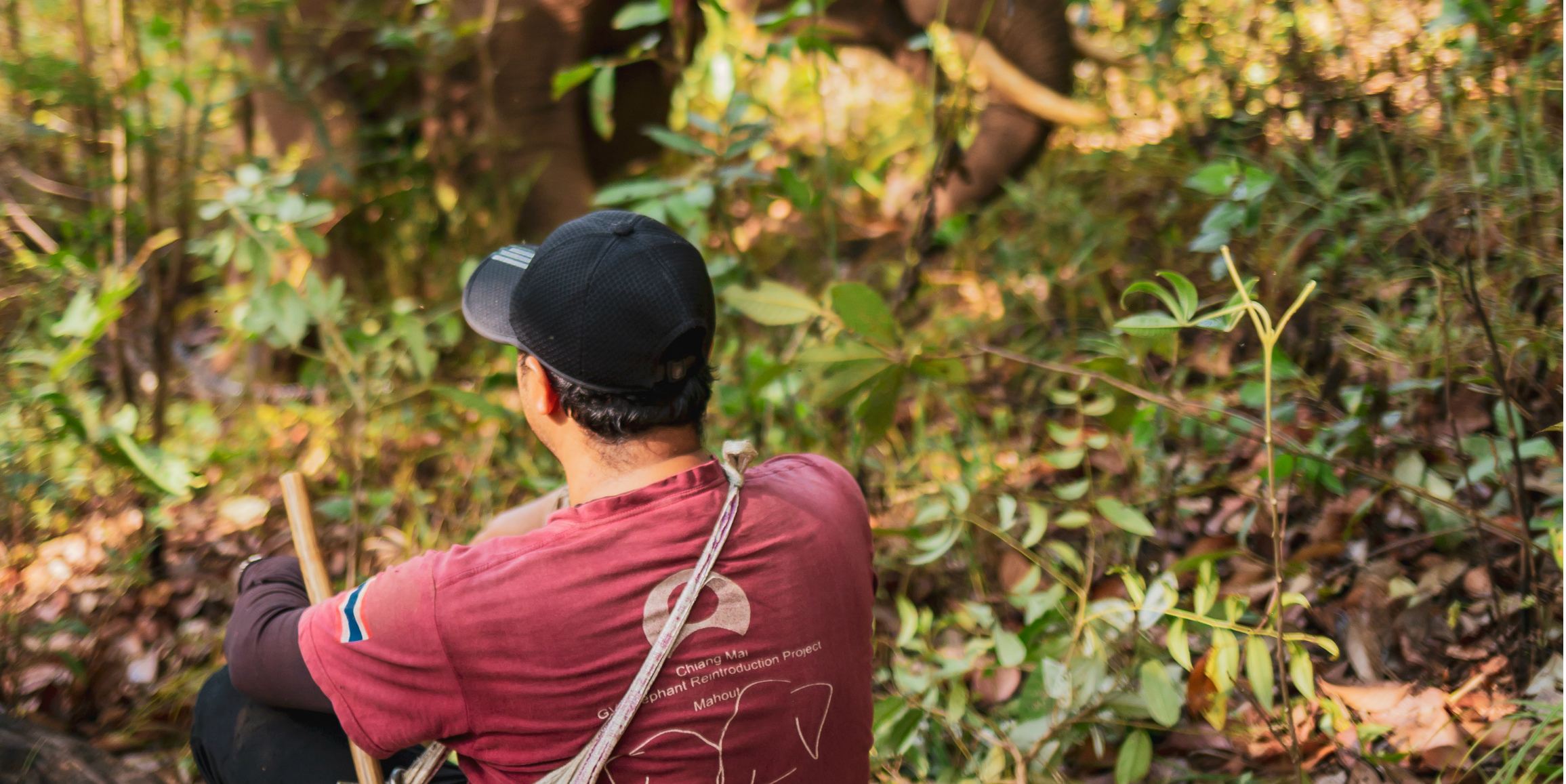 A traditional elephant keeper observes his elephant in the hills of Chiang Mai, as part of a volunteer in Thailand with elephants program.