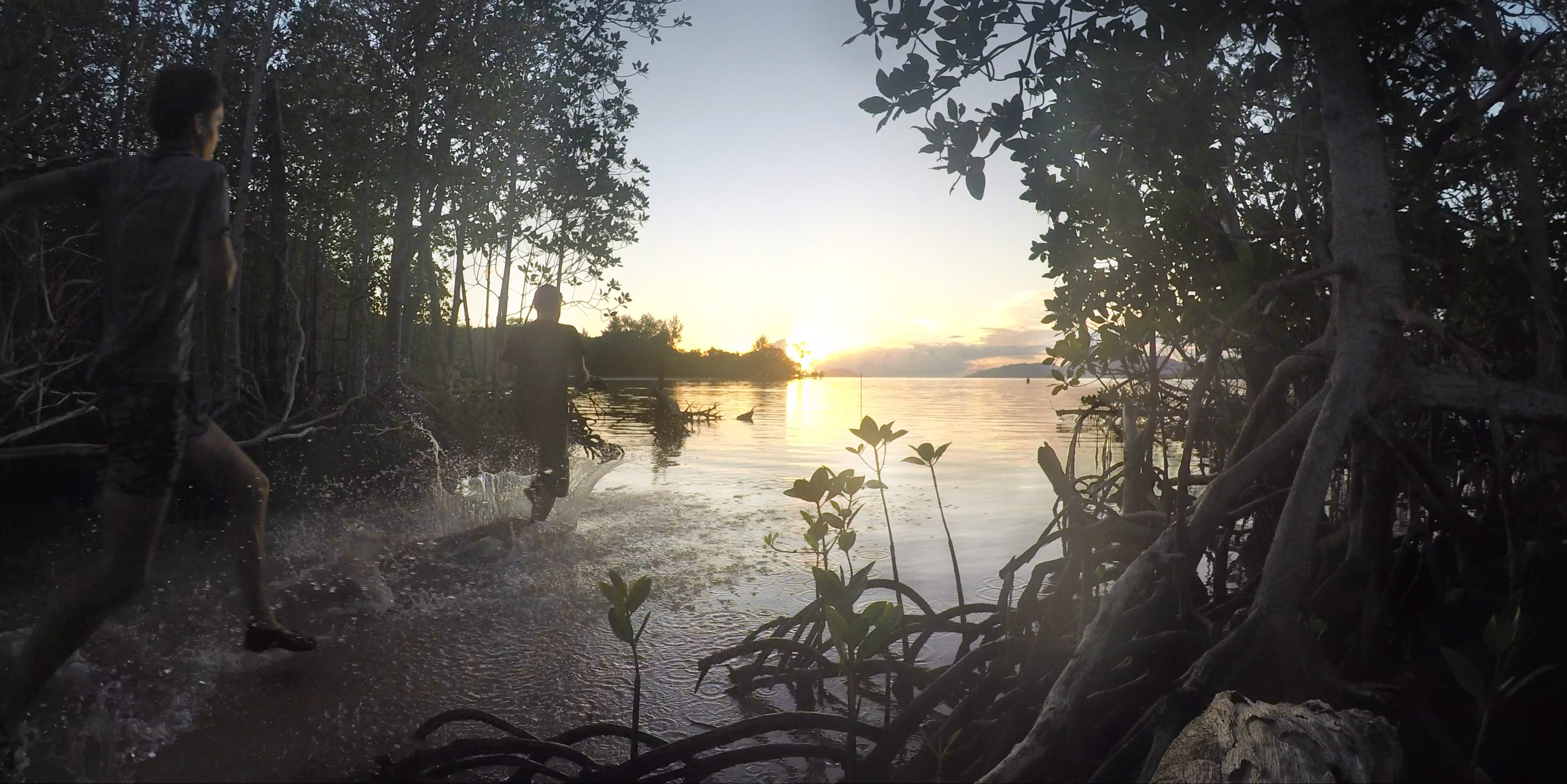 Participants run in between mangrove forests while volunteering in Seychelles.