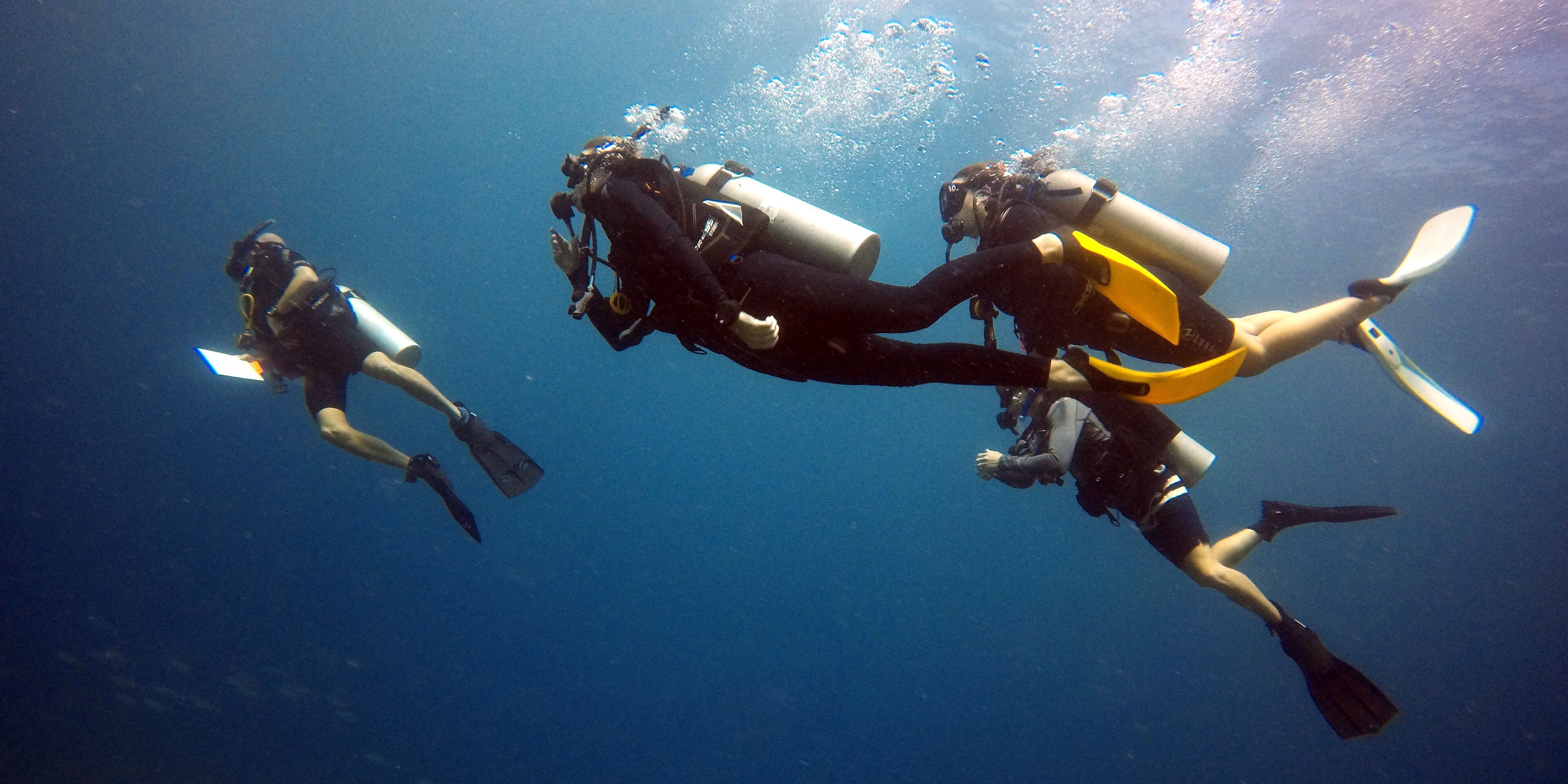 Four divers complete coral reef research while on a gap year travel program with GVI.