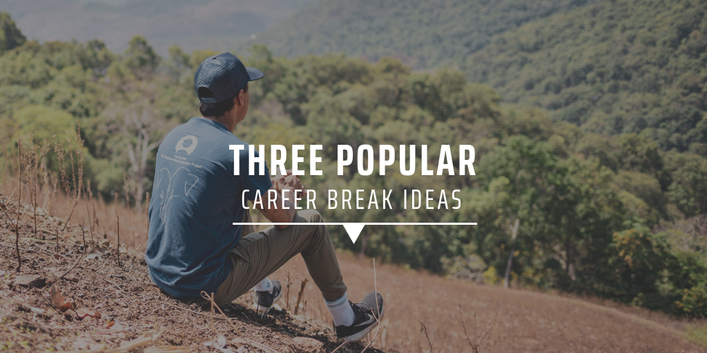 Three popular career break ideas