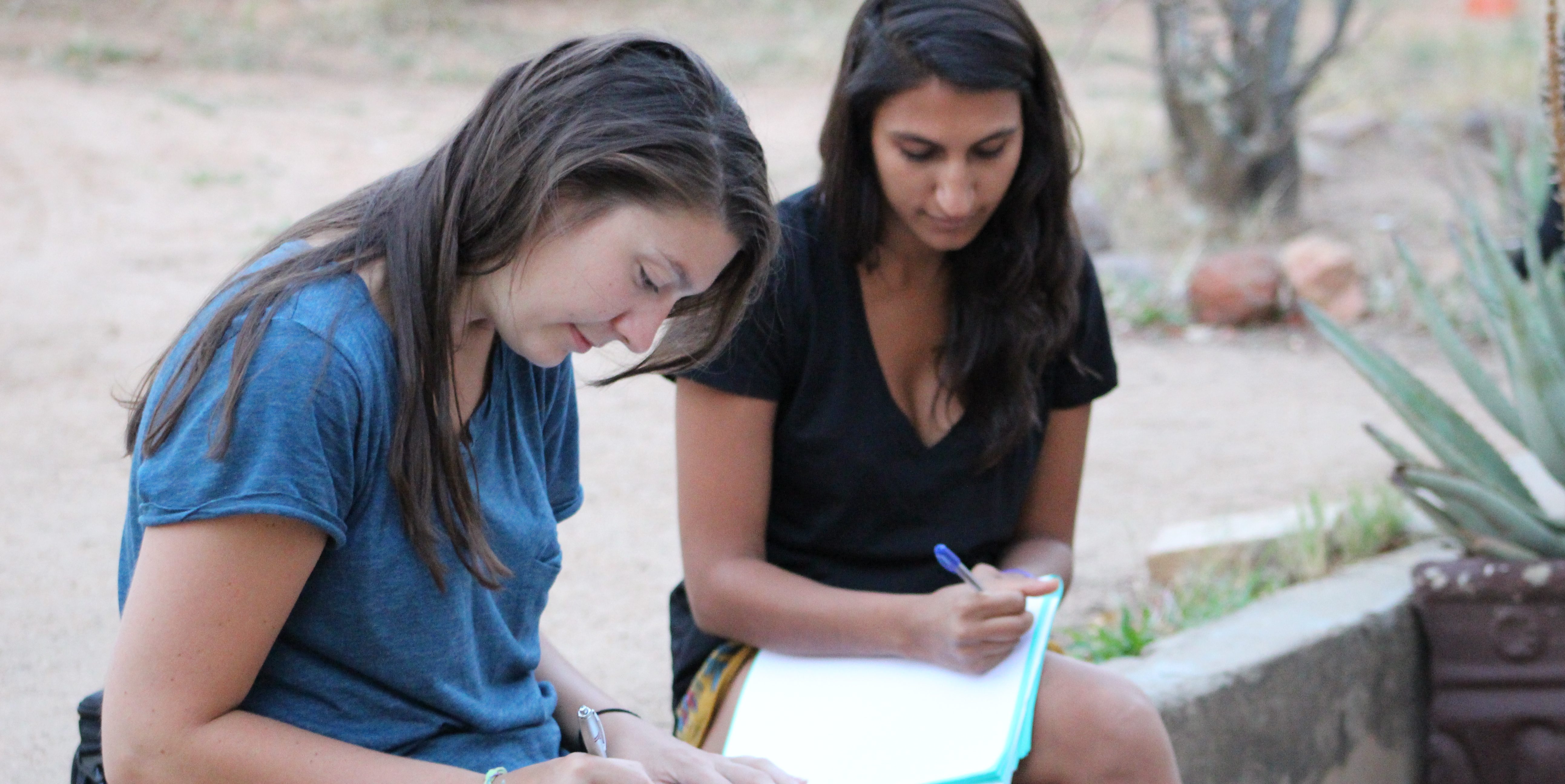 Wildlife volunteers make notes on the species they have learned about while on an African wildlife conservation project. 