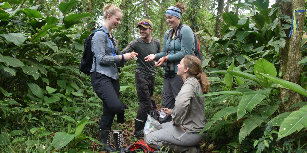 A volunteer group from GVI on a jungle expedition in Costa Rica