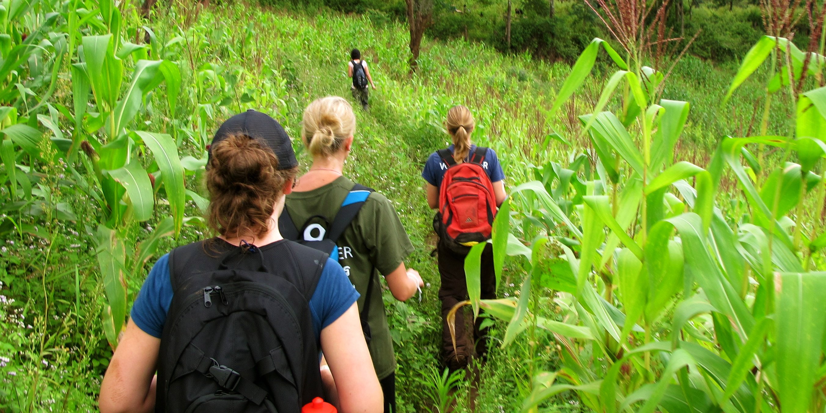 GVI participants travel in India and hike through the hills of Kerala.