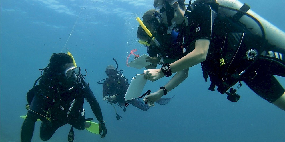 GVI PADI diving participants record data underwater.