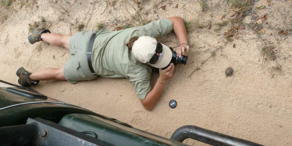 A participant lays down in the dirt to photograph a baby tortoise while on a responsible travel program with GVI. 