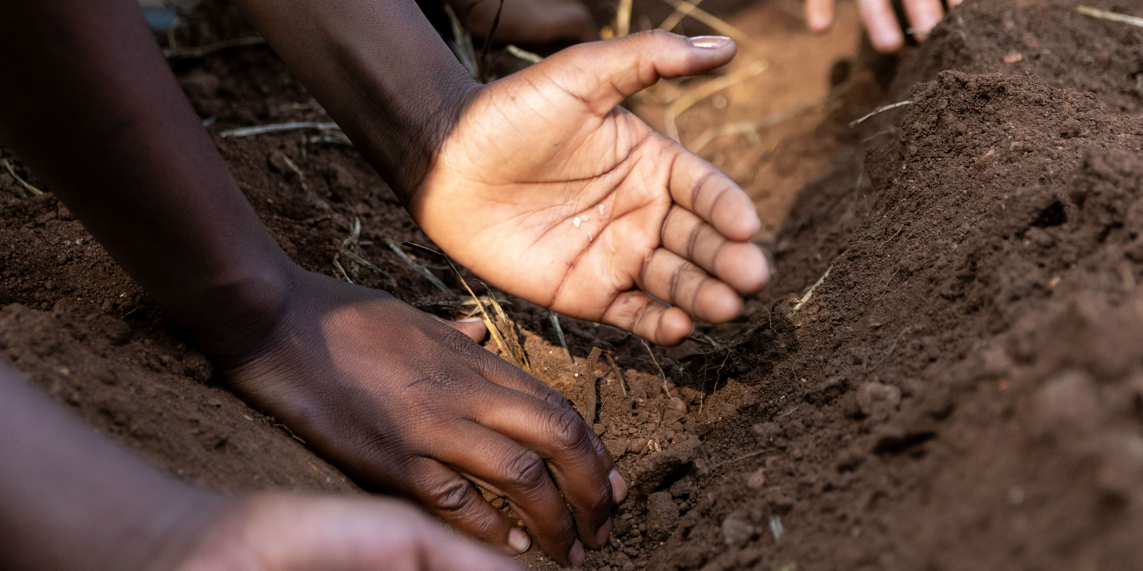 Participants plant seeds while taking part in eco-friendly tourism.