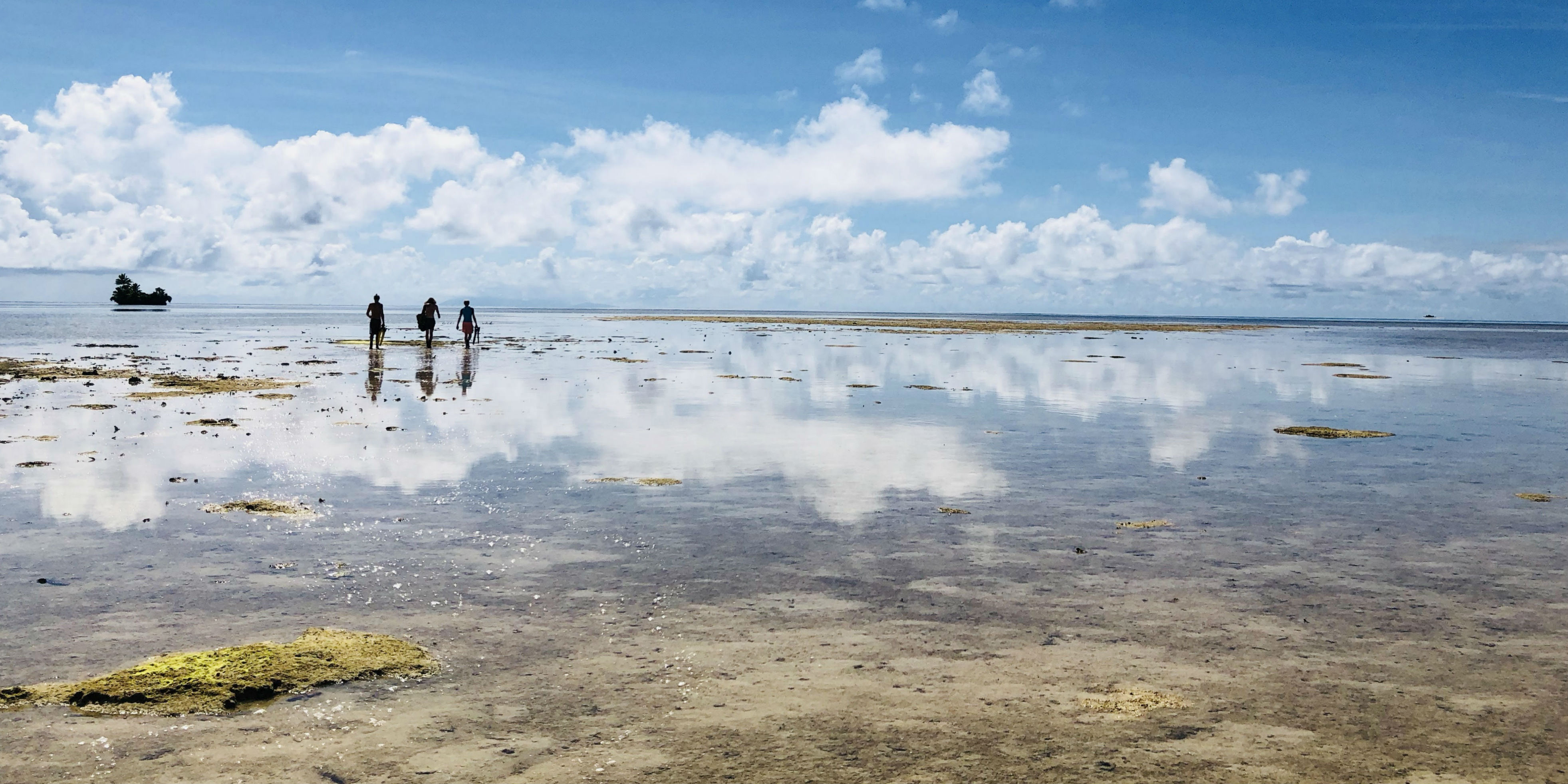 GVI participants walk toward the ocean while working to gain their PADI divemaster.