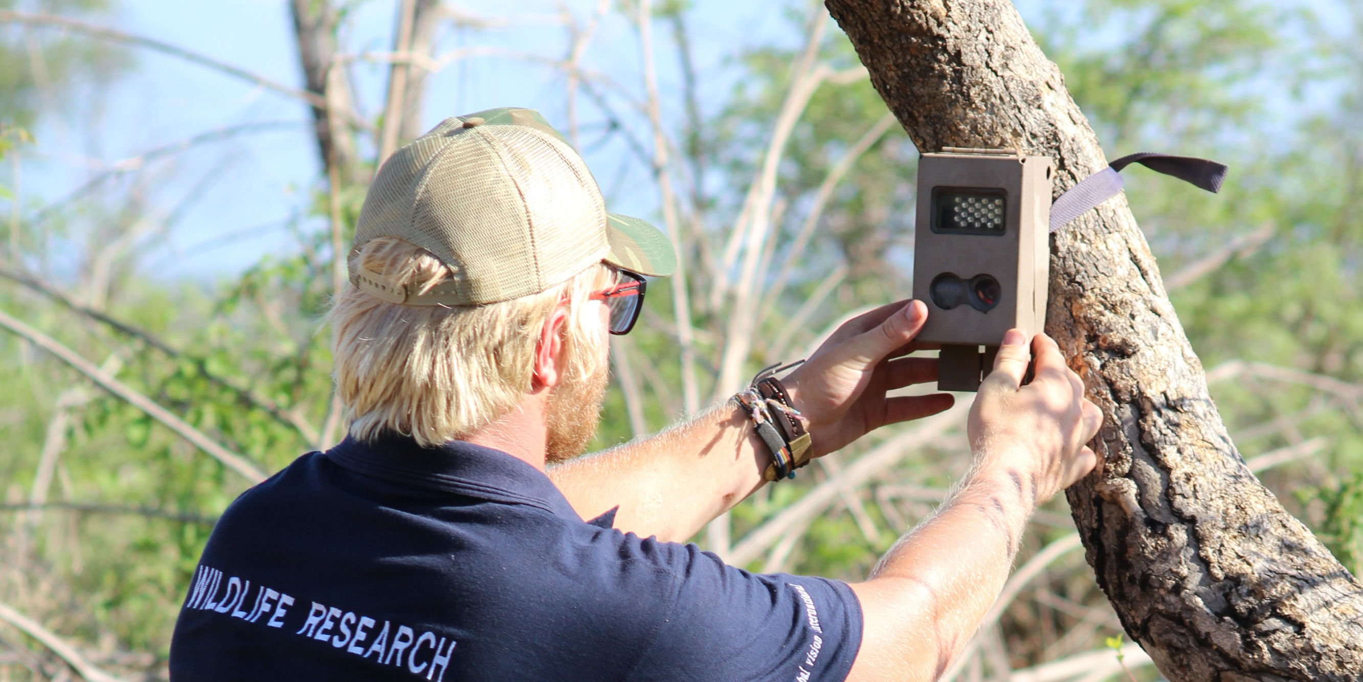 A GVI wildlife conservation participant sets up a camera trap to record animal sightings. 