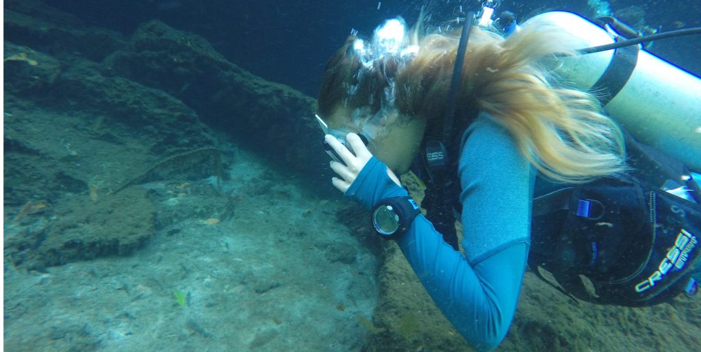 A diver from GVI volunteer group dives in the Mexican waters 