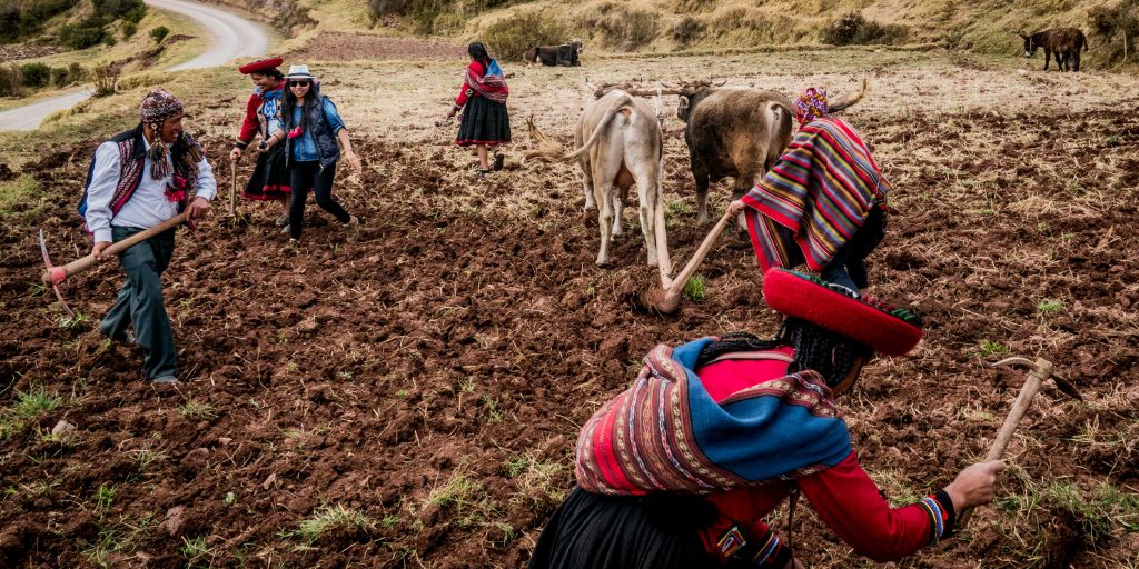 Quechua culture in Peru is mostly in rural areas, and agricultural communities, like this.