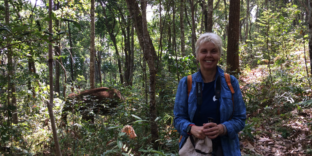 Taking a career break? This volunteer is taking her career break with elephants in Chiang Mai.