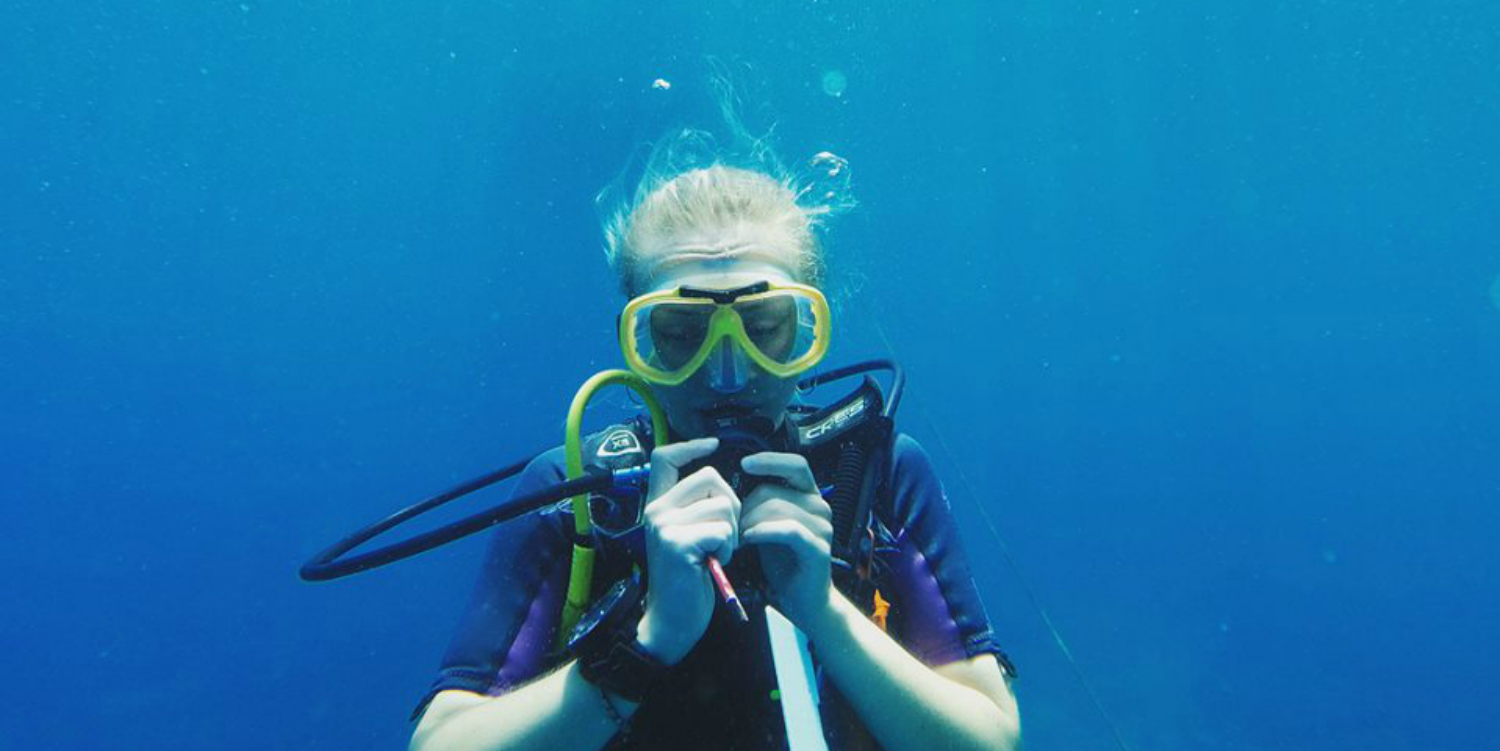 A diver practises equalising during one of their scuba diving adventures.