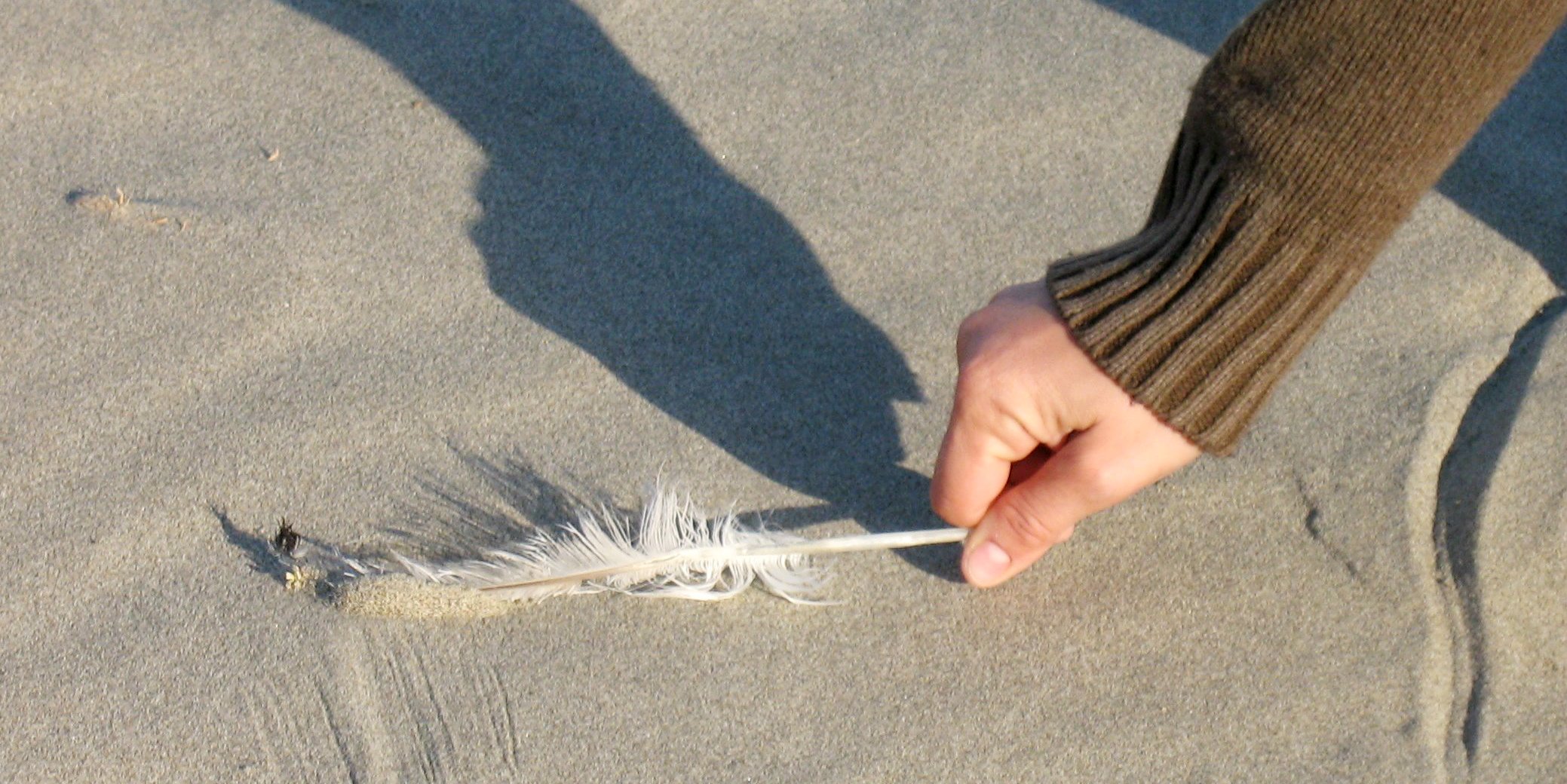 An individual bends down to collect a feather off of a beach | sustainable travel tips