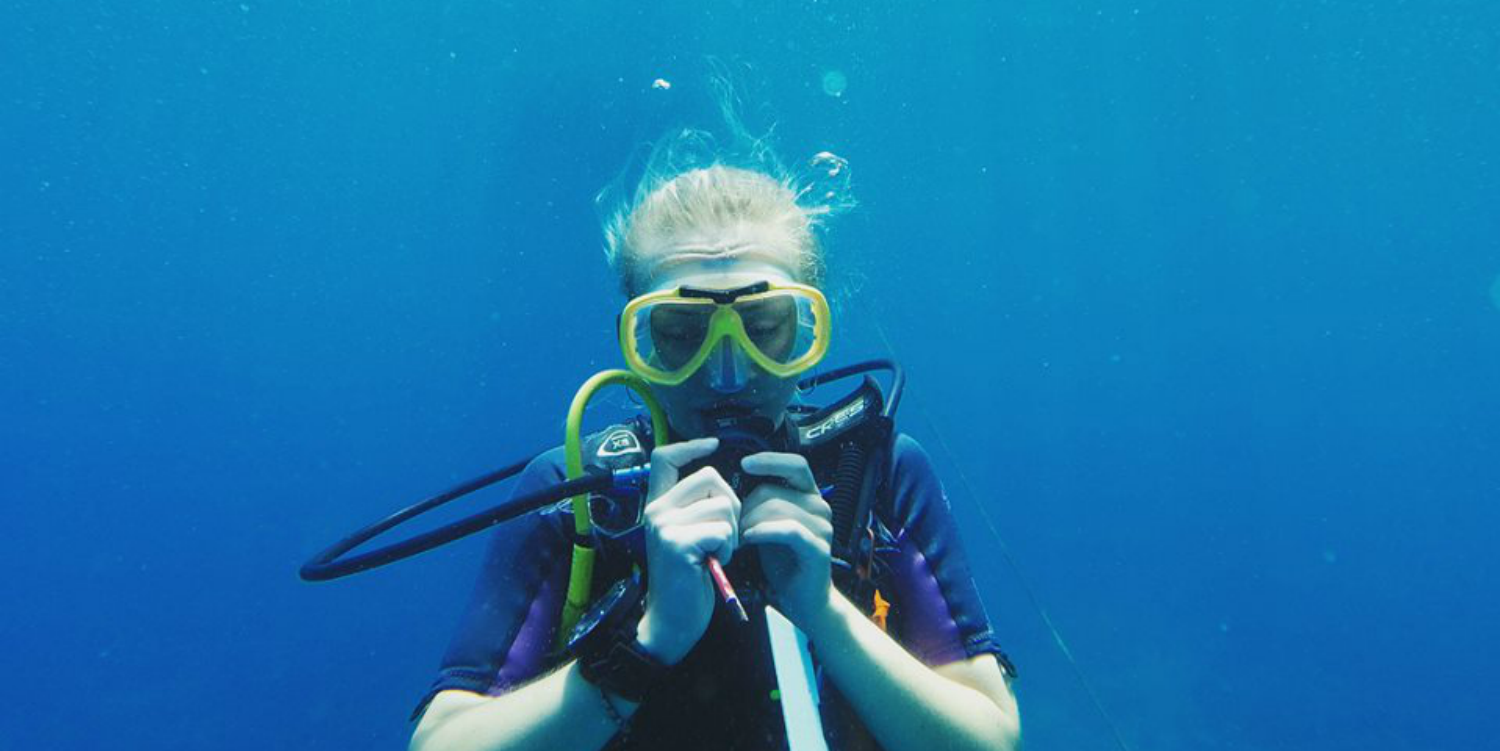 A diver practises using a board underwater as part of their PADI certification training.