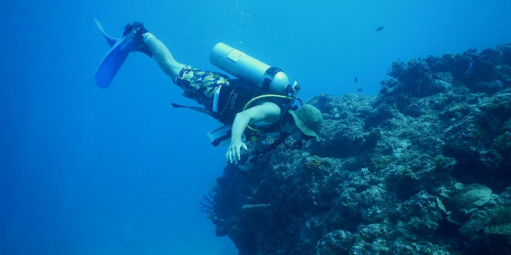 The history of Fiji's marine conservation is at your fingertips while exploring the best snorkeling in Fiji on a GVI volunteering program.