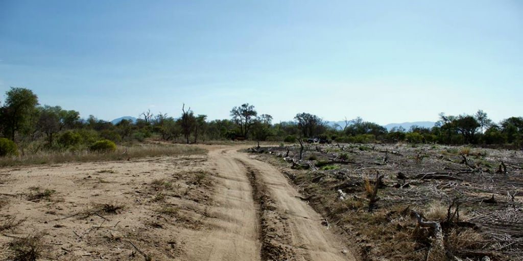 The seemingly quiet African landscape is a biodiversity hot spot of different species, prey and predator. 