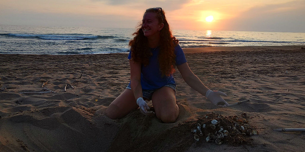 Sea turtle conservation interns excavate the turtle nest to collect hatchling success rates