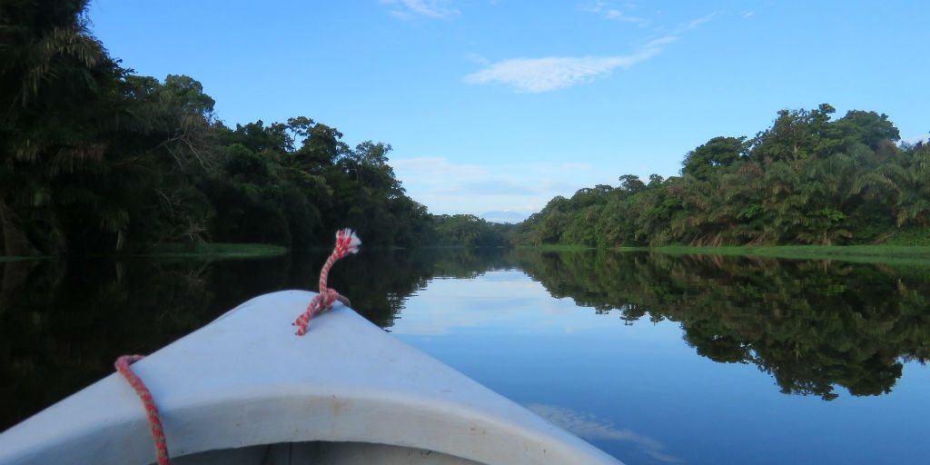 Drift through the Tortuguero national park in Costa Rica, birdwatching on our GVI volunteer programs