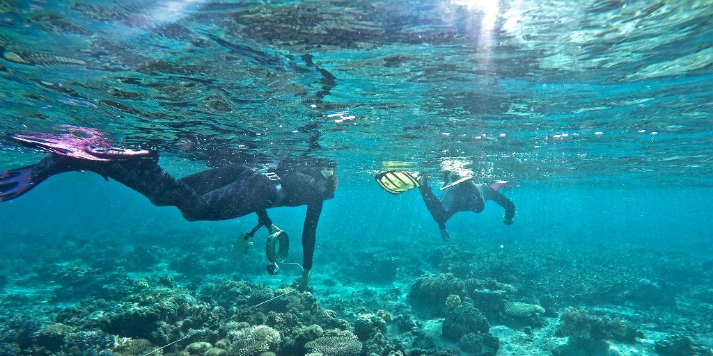 Use your gap year abroad to learn a new skill, like diving!