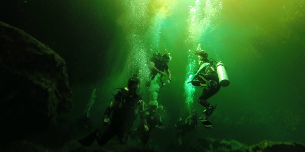 The marine habitat is an amazing sight to see on GVI's marine conservation volunteering opportunities.