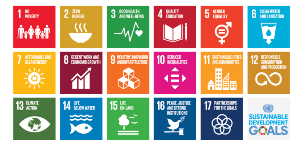 United Nations Sustainable Development Goals