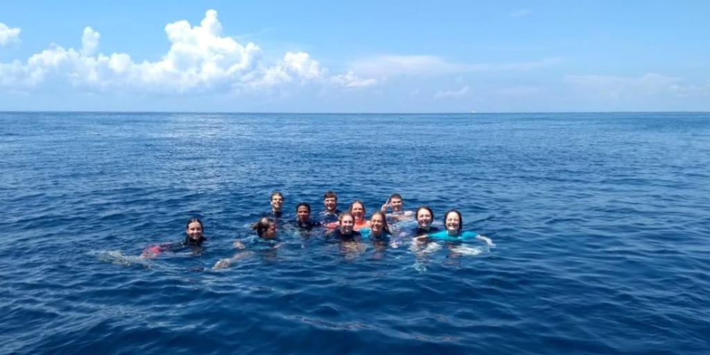 Volunteer in Mexico and jump in to the sea