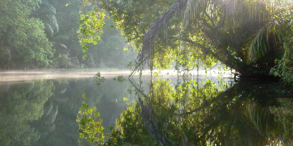 The Ecological value of the Tortuguero national park is priceless, being a hot-spot for species diversity. 