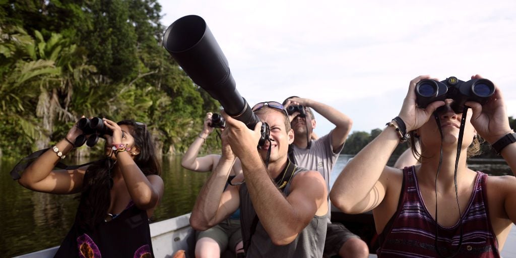 Birdwatching and conservation research goes hand in hand, perfect for a Big year of adventure on a GVI volunteer program.