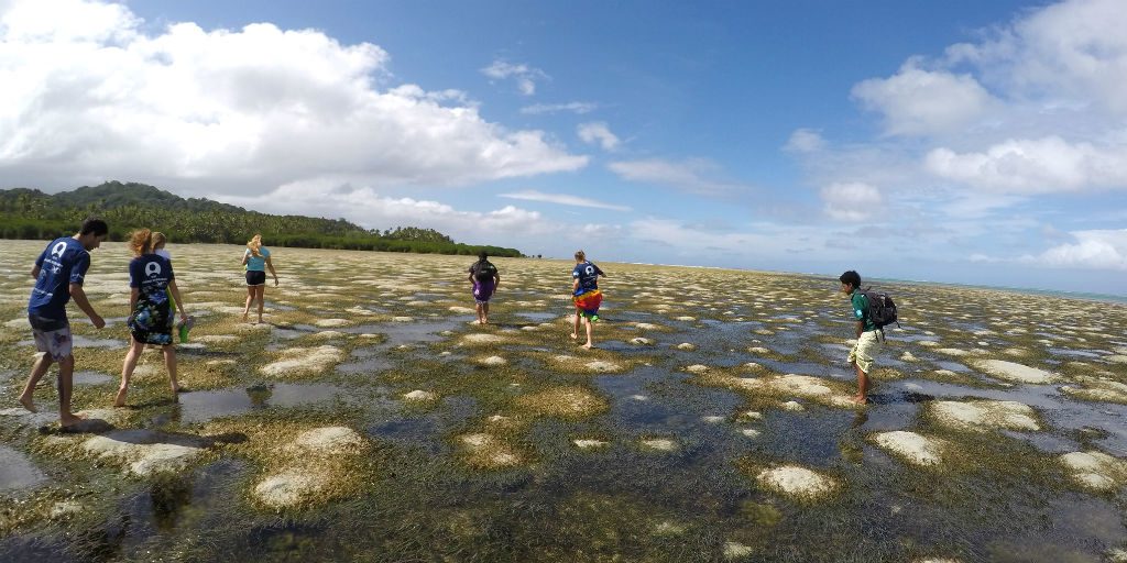GVI Volunteers walk along the shore at low tide to assess the marine protected area.