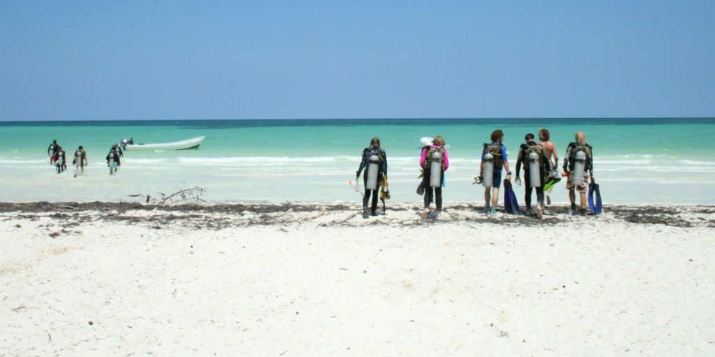 Volunteer in Mexico on our Marine Conservation program and dive in the stunning Caribbean sea.
