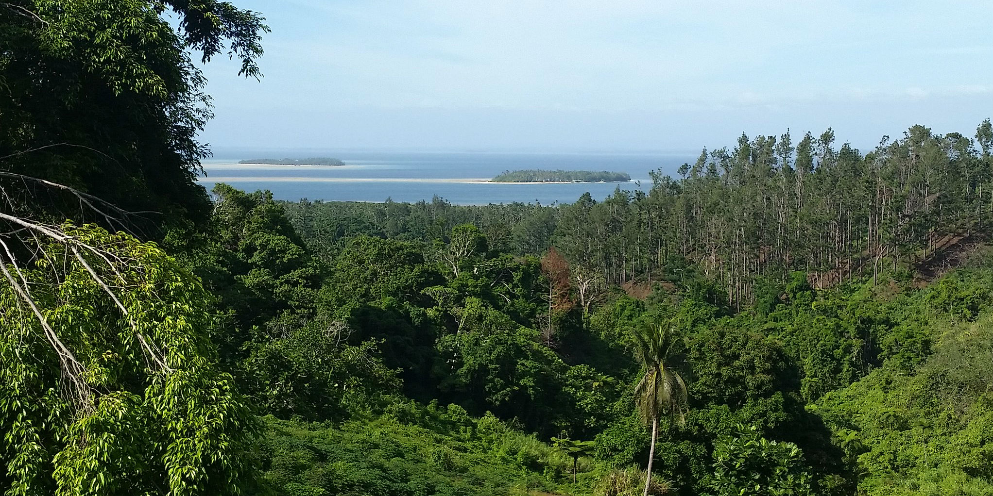 Explore Colo-I-Suva Forest Park when travelling in Fiji