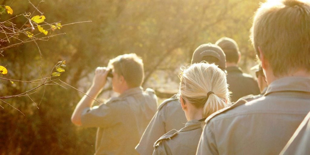 the GVI wildlife conservation internship in Limpopo is not just about the data but also tracking and understanding the animals behaviour. 