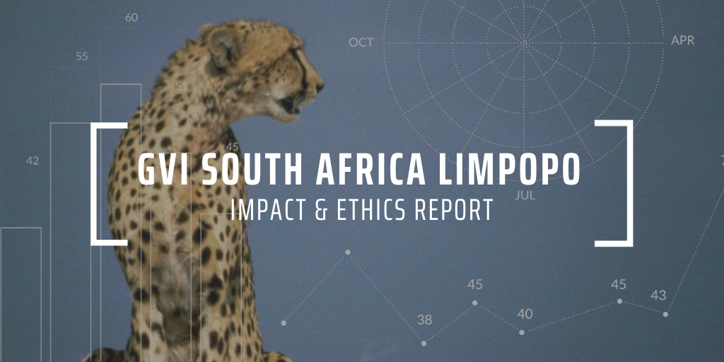 Cheetah conservation for Goal 15 Life On Land