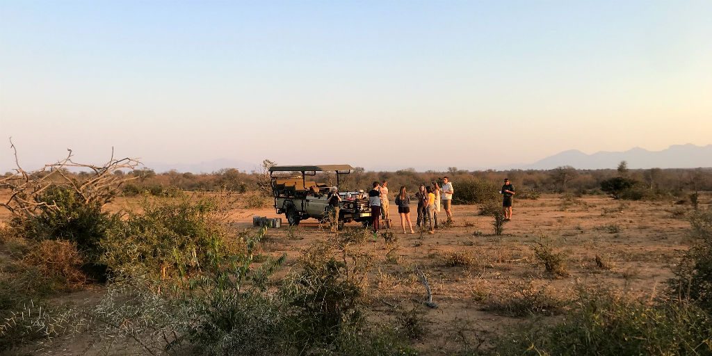 The fortress conservation allows the GVI team to be able to keep track of the cheetahs without inflicting any captivity like conditions. 