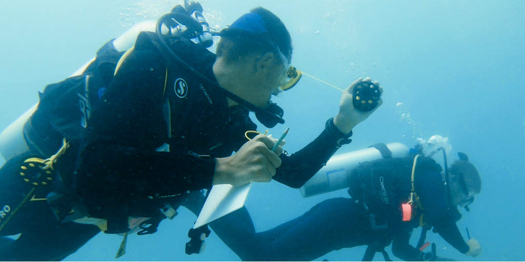 two divers communicating underwater