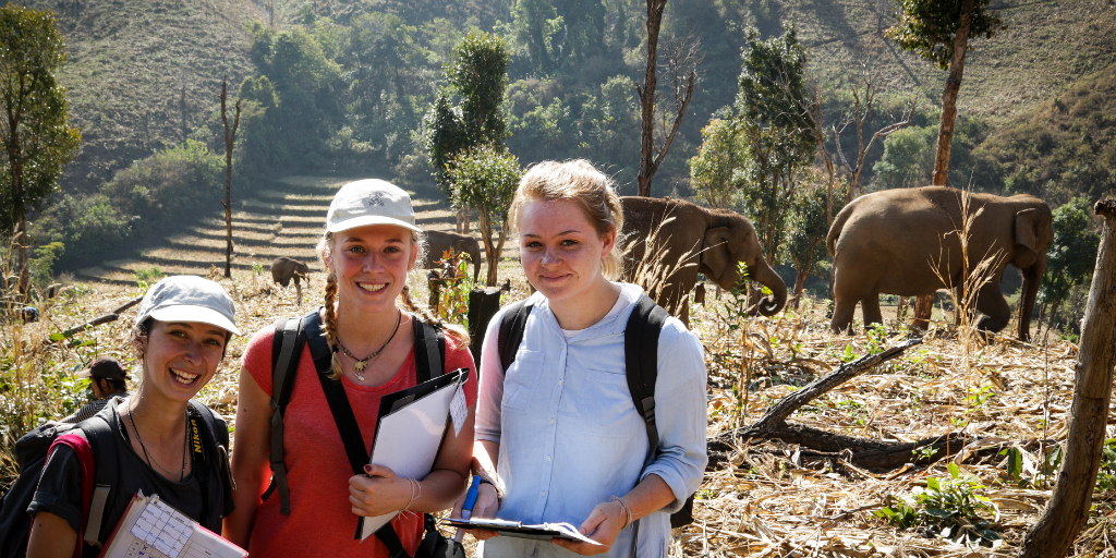 Educational Gap Year - volunteers doing research