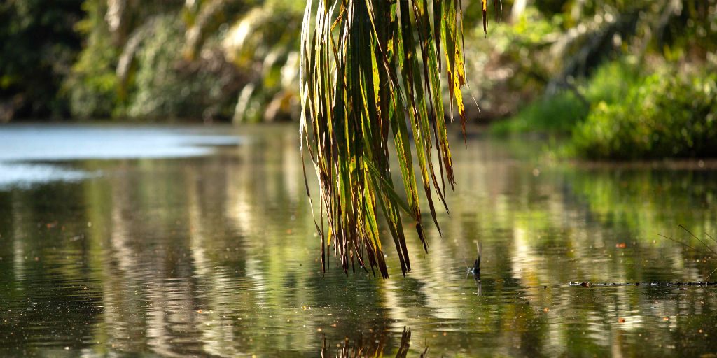 The data that collected on the Canal Surveys is directly related to reducing loss of biodiversity.