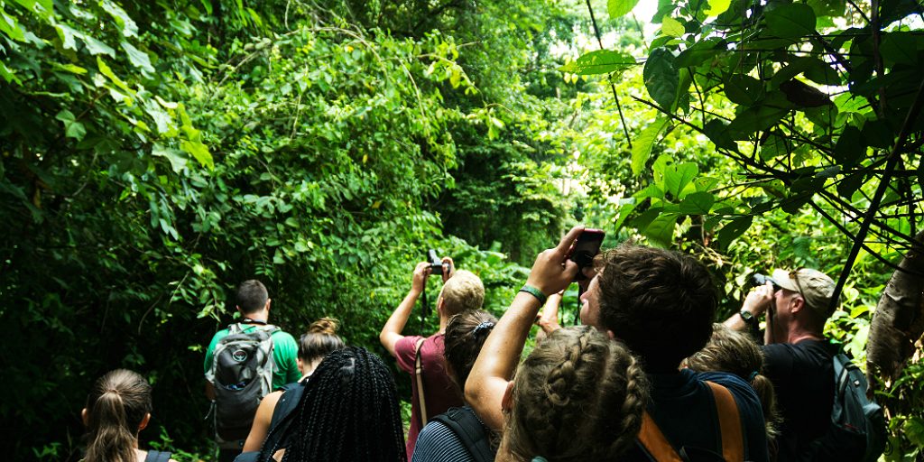 gvi volunteers observing nature