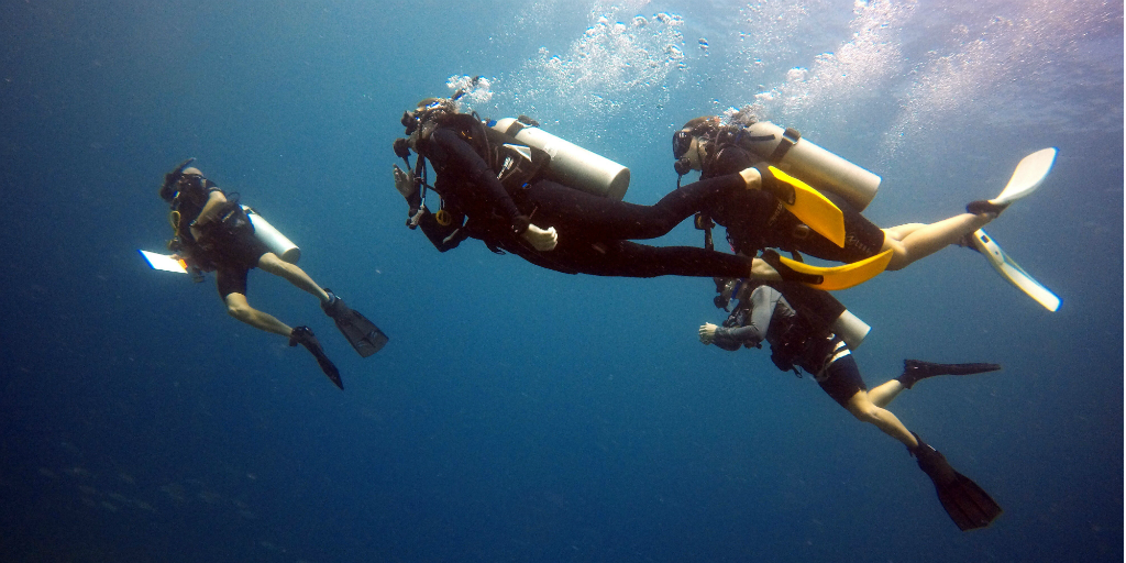 Divers underwater in the Seychelles