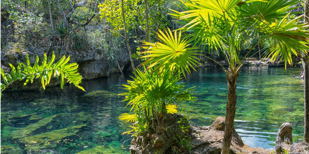 A Mexican cenote