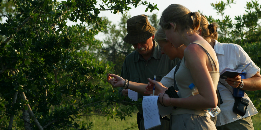 Gain real world experience as a field guide when you volunteer abroad in Limpopo