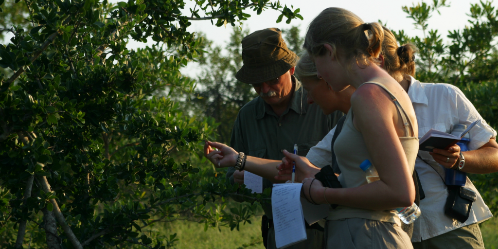 When you volunteer in Limpopo South Africa you learn wildlife conservation skills