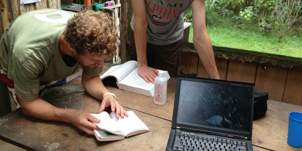 Looking for good places to volunteer? Why not assist with data collection with our wildlife conservation programs