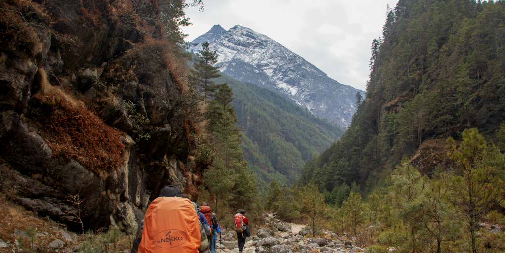 Hikers trekking up a mountain trail with a mountain peak in the distance