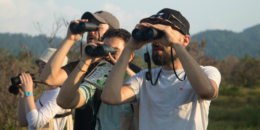 Volunteers using binoculars to survey birds in Thailand